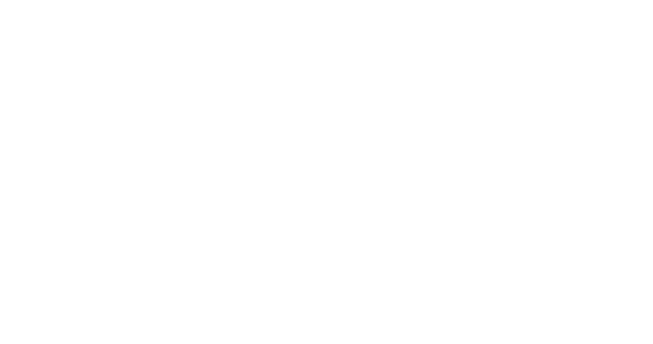 Achilles Network Silver Plus