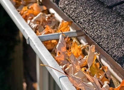 Gutter Cleaning