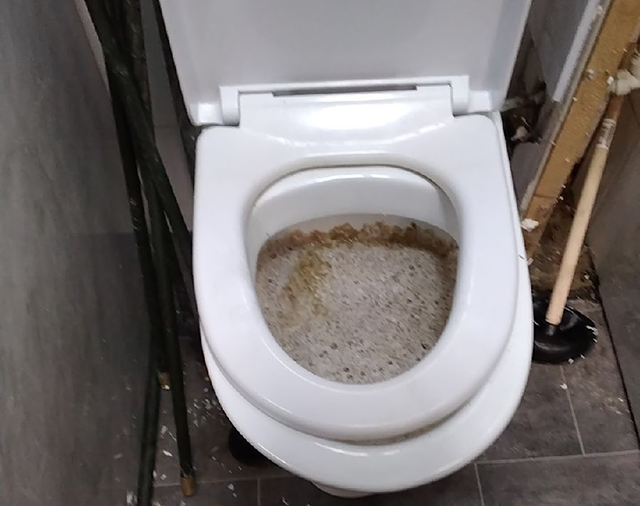 Blocked toilet