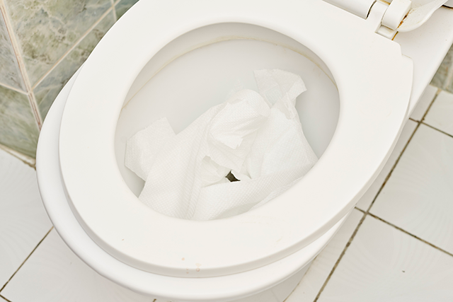 Toilet paper in toilet