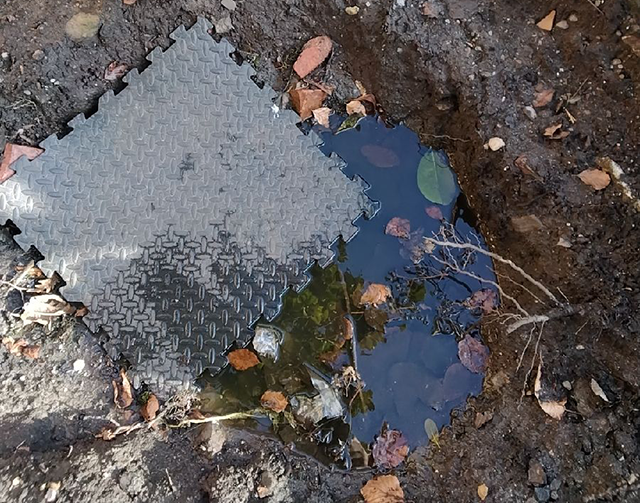 overflowing drain in garden