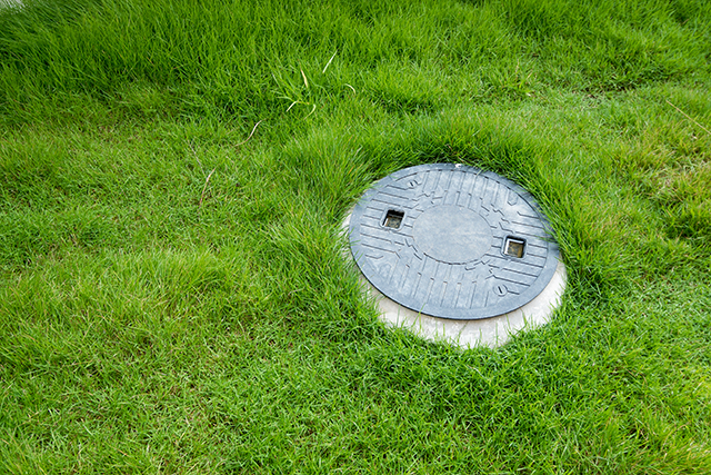 Septic tank in a lawn